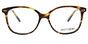 Cindy - T52 Tortoise 