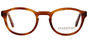 Light Turtle Brown