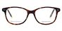 CM140 La Frenchy - T49 Brun gris/argent 