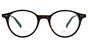 Troll - T46 Tortoise Brown 