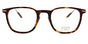 748 - T50 Chesnut & Antic Gold Demo Lens