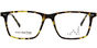 Ayrton - T53 Tortoise 