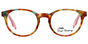 Nikaia - T46 COLORED TORTOISE 