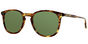 Kinney S - T49 Chestnut 