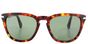 PO3024S - T52_EN Havana Cristal Grey Lens