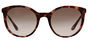 PR 17SS - T53 Pink Brown Gradient Lens