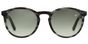WE0133S - T51 Matt havana grey Green lens